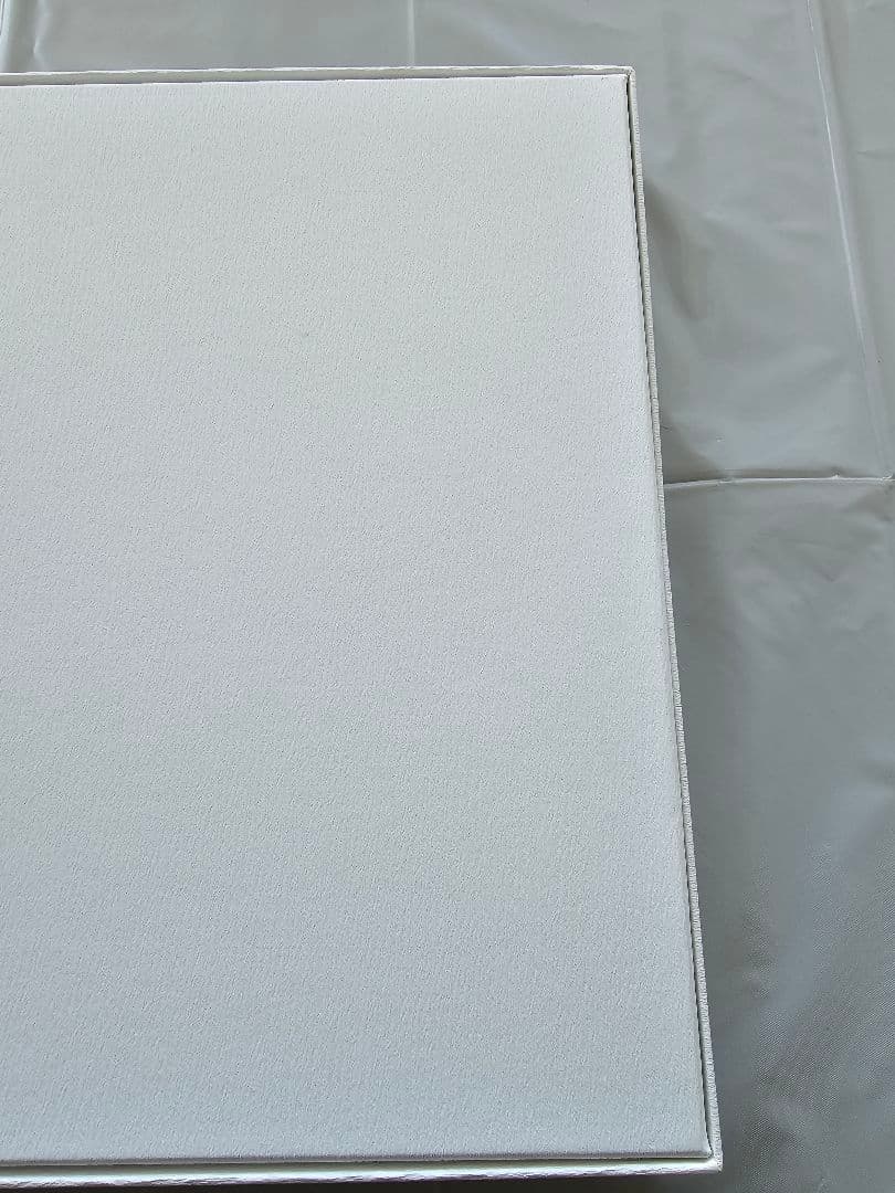 鬼滅の刃　柱稽古編　幕間画集　豪華版　冨岡義勇