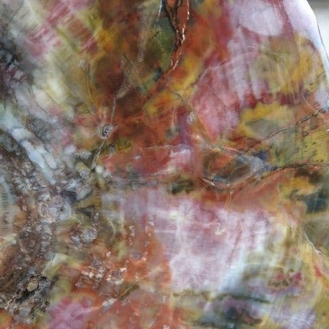 アリゾナ産 珪化木 木化石 鑑賞石 原石 パワーストーン 宝石 オブジェ