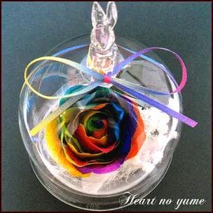 【高級プリザーブドフラワー】オランダ輸入レインボーローズのウサギドーム