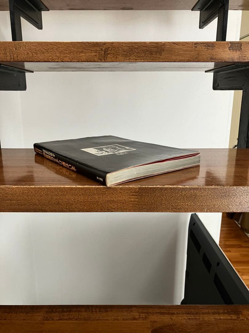 69新宿カミナリ族は今...