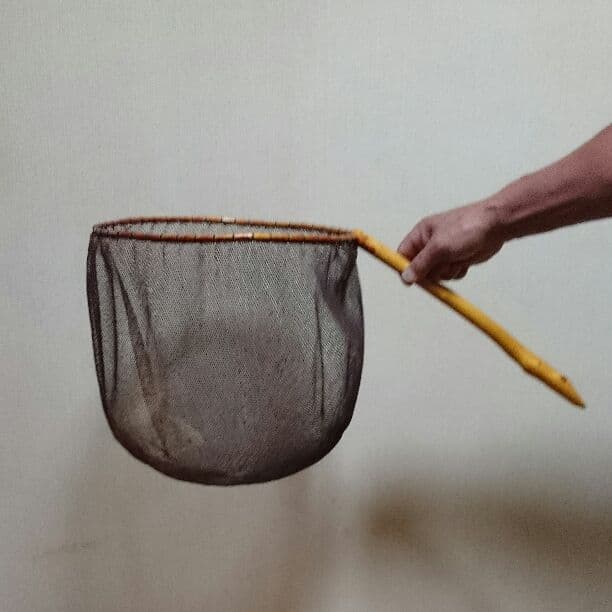 再度お値下げ☆鮎だも