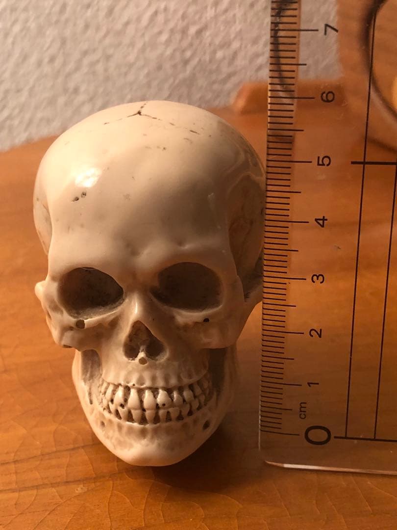 ビンテージ　スカル　髑髏　骸骨　ネイバーフッド　ミッドセンチュリー レトロ