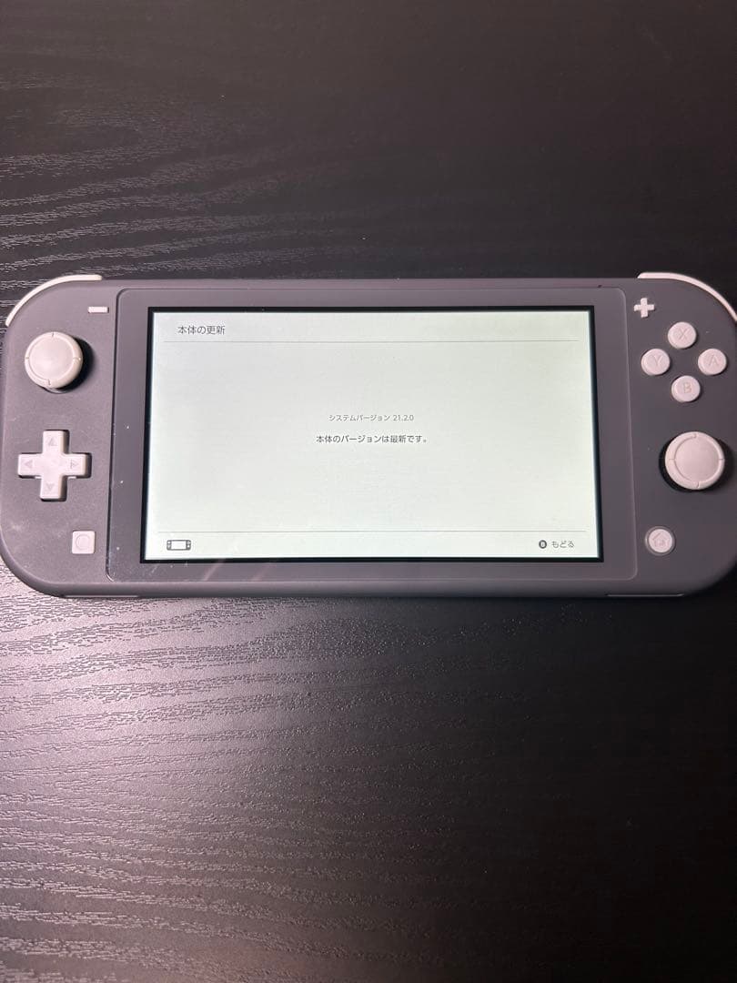 Nintendo Switch Lite グレー　初期化済み