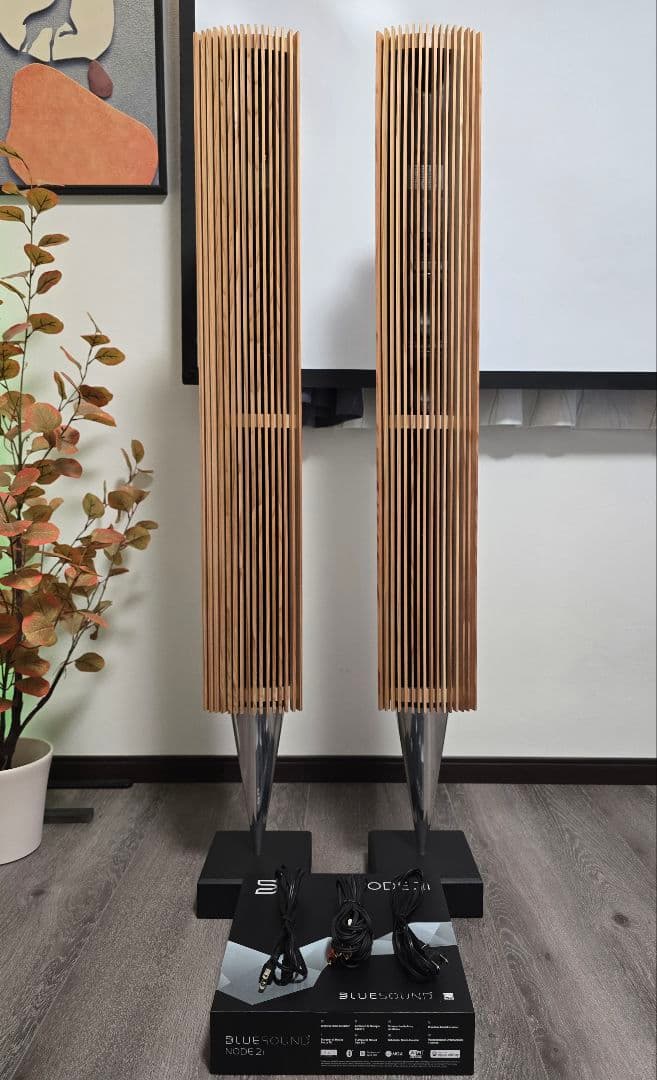 B&O バング&オルフセン BeoLab 8000 スピーカーペア天然木ケース