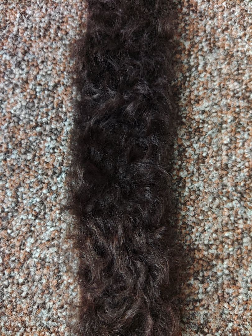 ドン小西　ヨシユキコニシ　レザーファーベルト新品　定価65100円