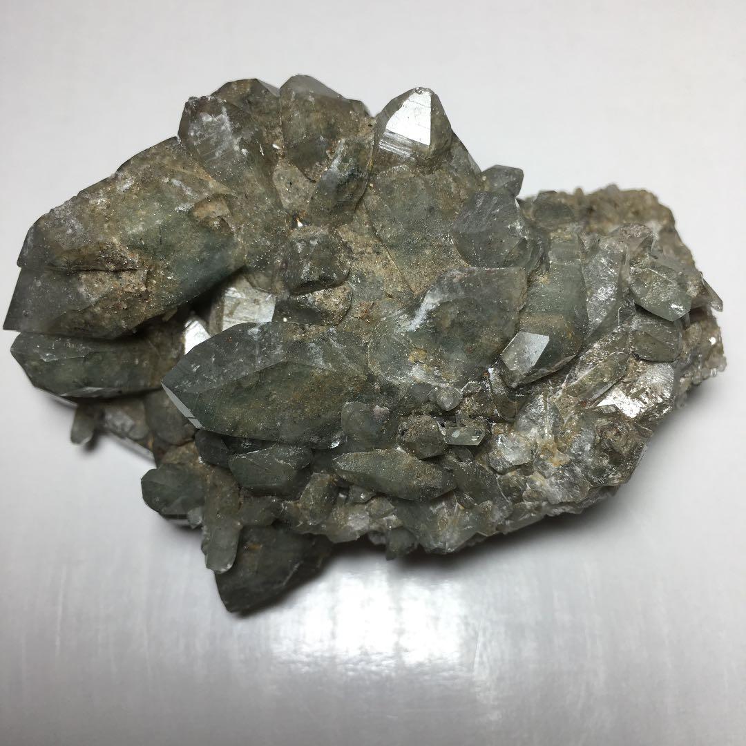 い　ヒマラヤクラスター