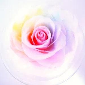 【高級プリザーブドフラワー】パステルレインボーローズ　りんごガラスドーム