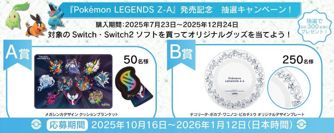 ポケモン　オリジナルデザインプレート　抽選品