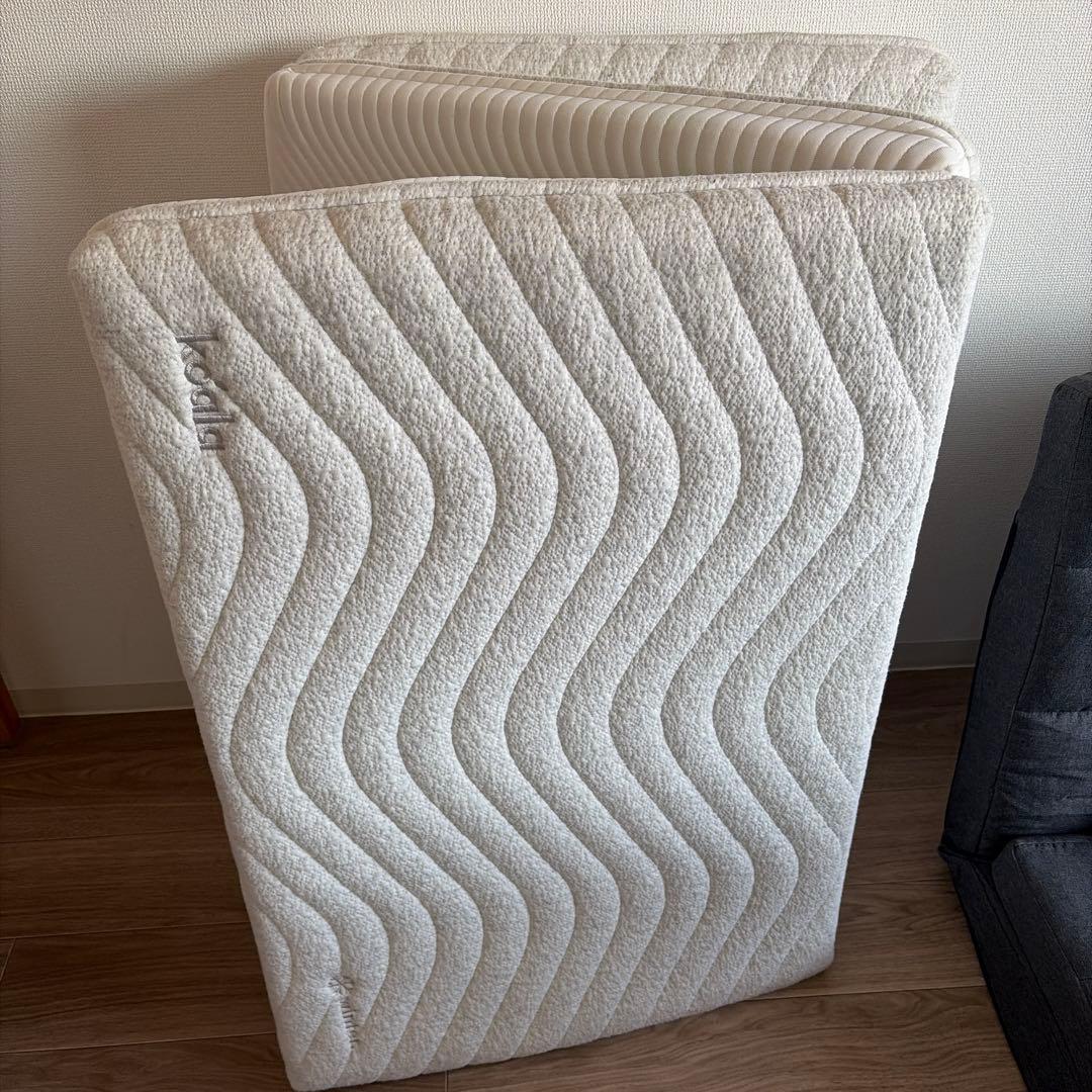 コアラフトンoasis