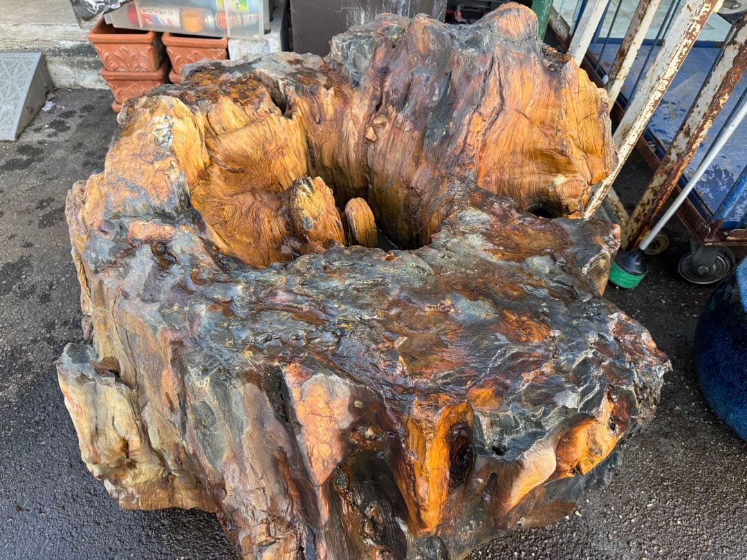 天然木化石 大型庭石 水鉢風オブジェ 直径90cm級