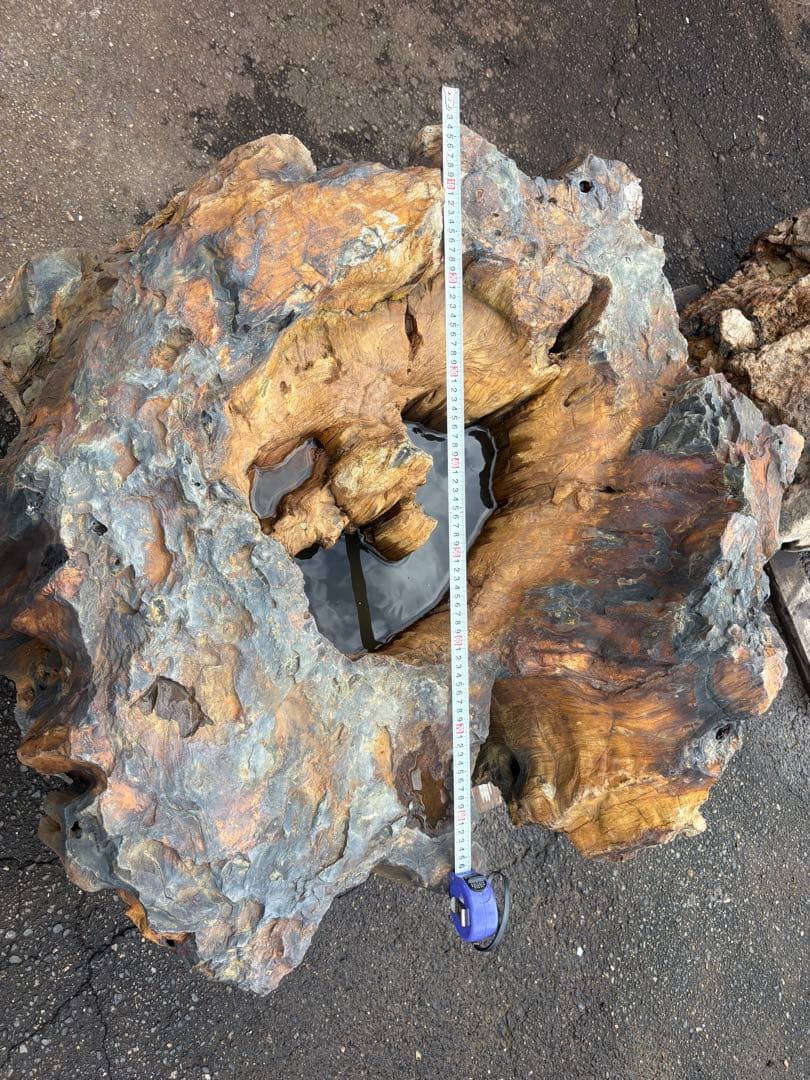 天然木化石 大型庭石 水鉢風オブジェ 直径90cm級