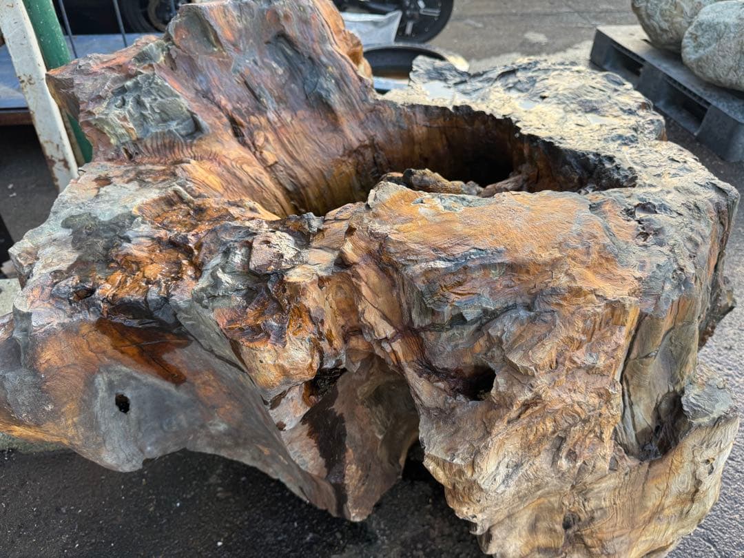 天然木化石 大型庭石 水鉢風オブジェ 直径90cm級