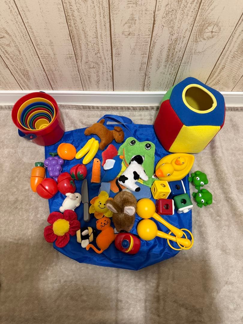 プレイアロング おもちゃ付き 新子役 DWEディズニー英語システム おまけ付き