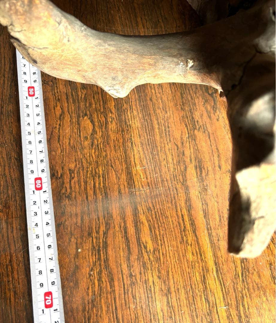 天然木の置物 オブジェ インテリア　貴重品