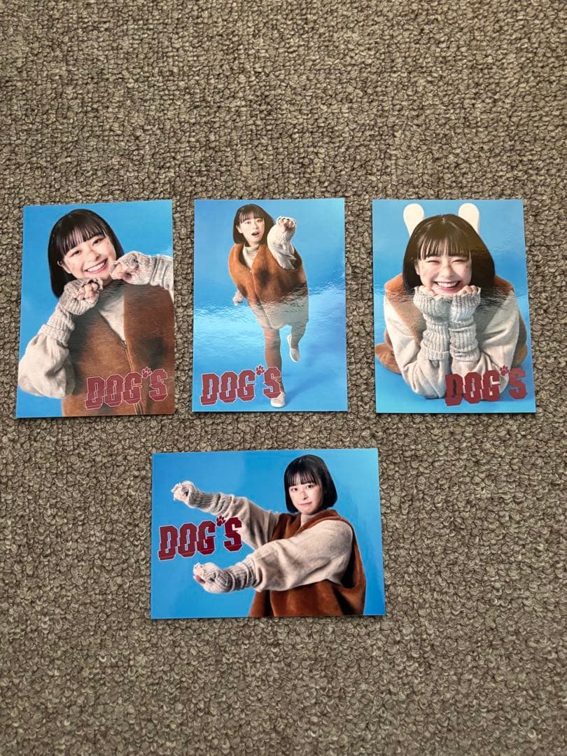 013 & DOG'S 2枚組DVD ブロマイド付きセット