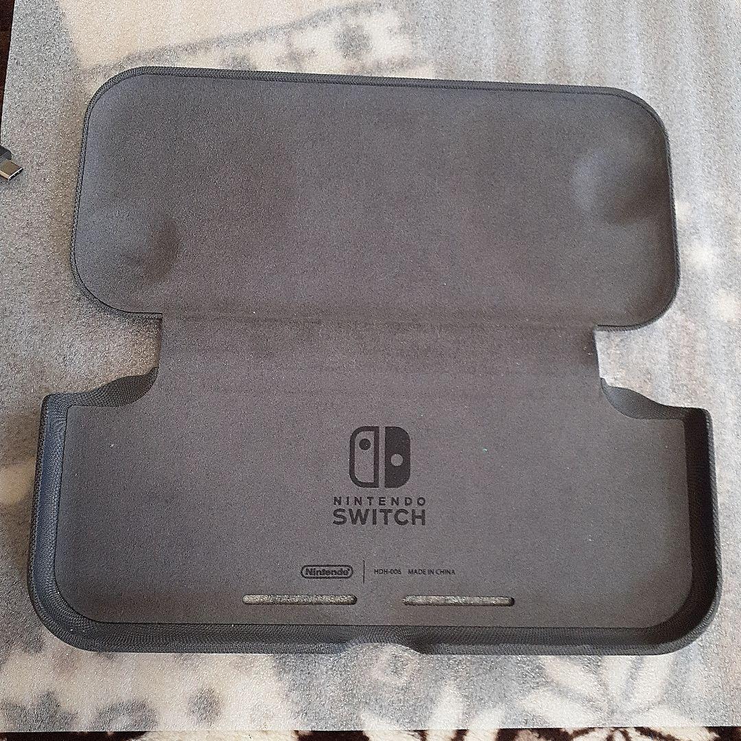 Nintendo Switch Lite ターコイズ　充電器+α