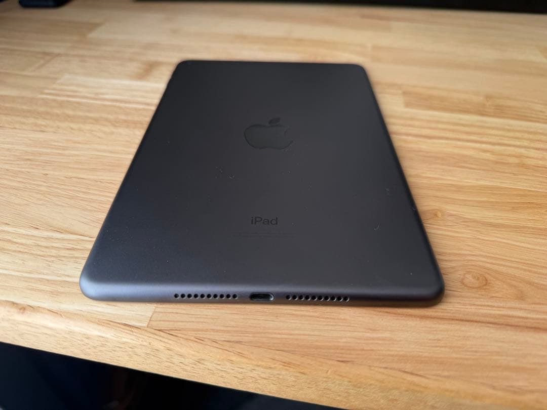 iPad mini 第5世代 64GB 本体　バッテリー100%