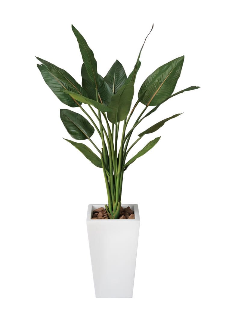 光触媒　人工観葉植物　ウォールグリーン　フェイクグリーン　ストレチアW1.3m