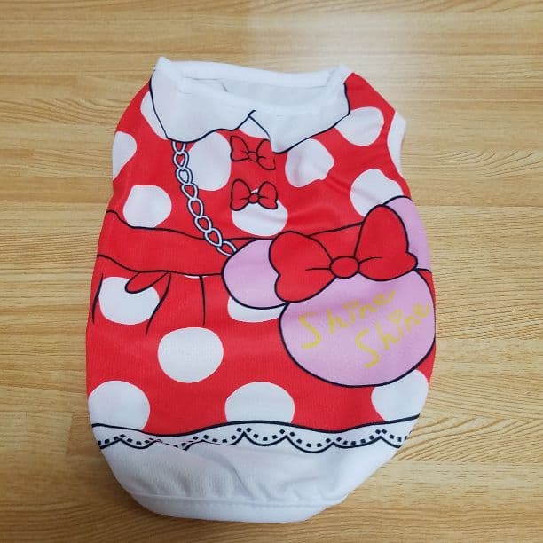 ディズニー風①