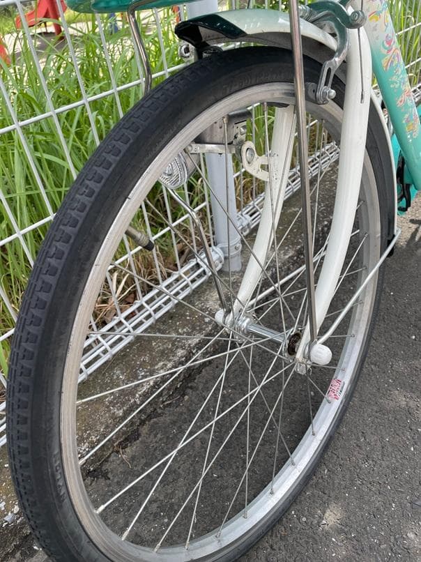 ブリヂストンECOPALエコパル22インチ-junior手渡しのみでお願いします