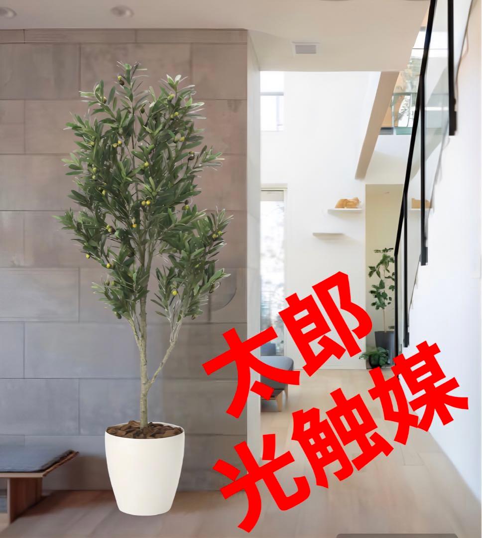 光触媒　人工観葉植物　ウォールグリーン　フェイクグリーン　オリーブツリー1.65