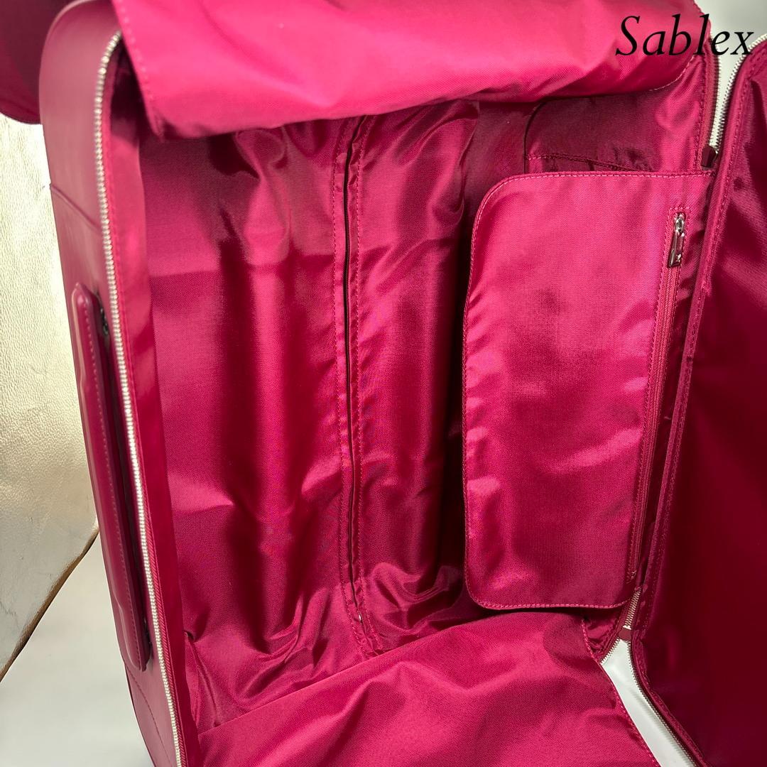 【新品同様】ルイヴィトン エピ ペガス55 キャリーバッグ 購入時証明書有