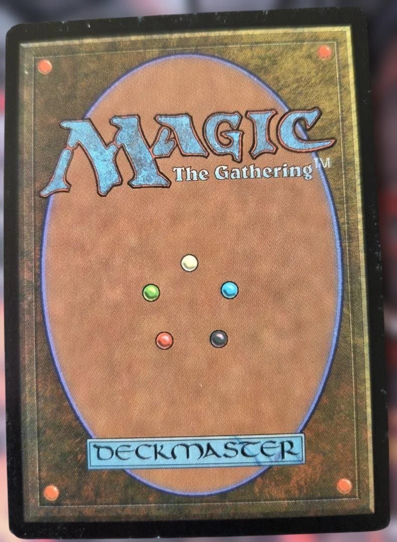 MTG 補充 日本語版 1枚