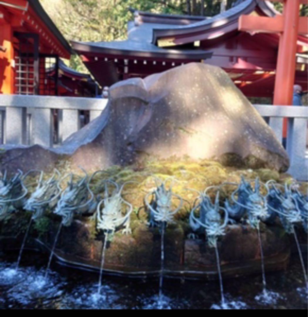 金運•財運上昇〜パワーUP金龍＆鳳凰⭐️龍体文字フトマニ図　オルゴナイト