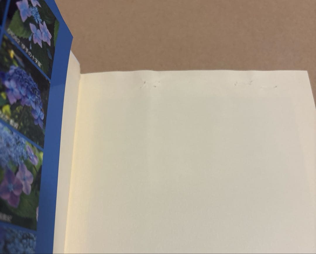 アジサイ百科 川島インデクス Hydrangea Kawashima Index