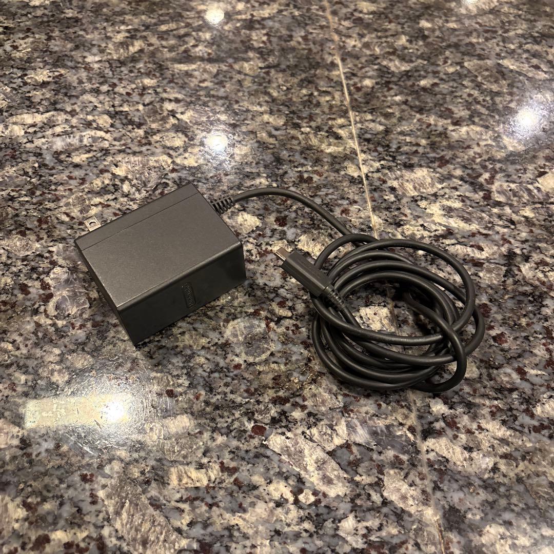 Nintendo Switch Lite ターコイズ 本体と充電器