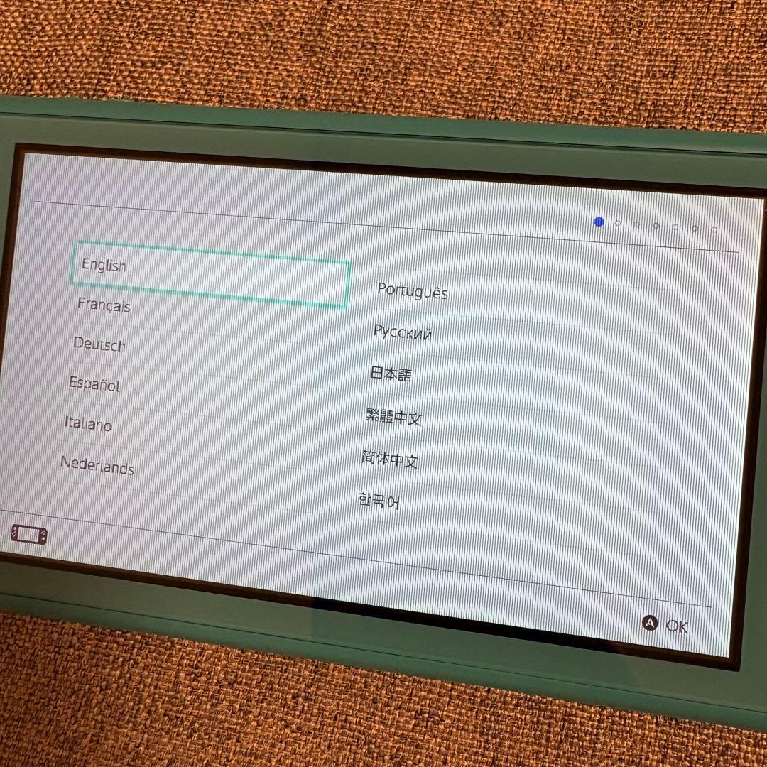 【ジャンク】Nintendo Switch Lite ターコイズ 本体 画面不良