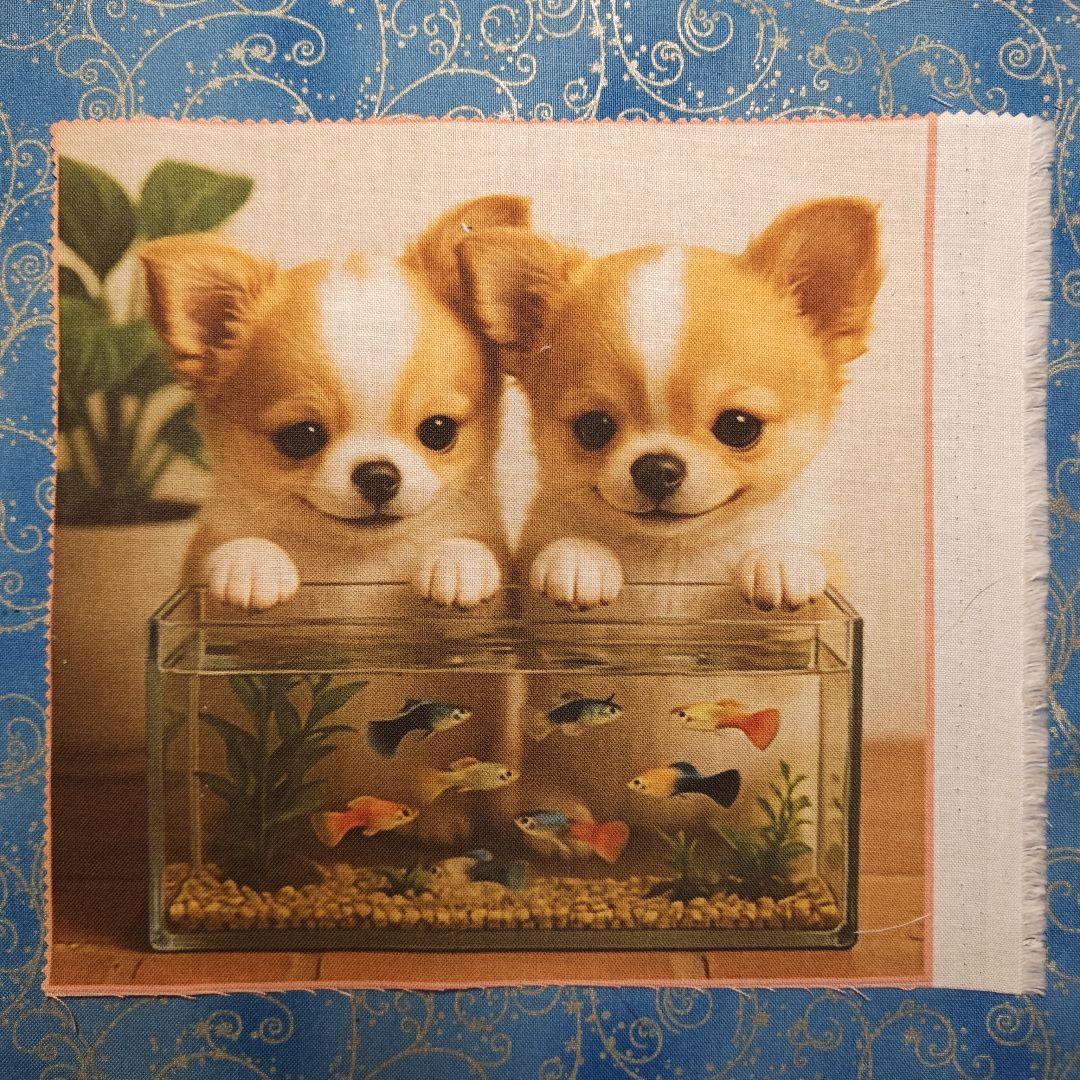 タリム　No1.2 パネル　ネコちゃん柄　20枚+20枚＝40枚