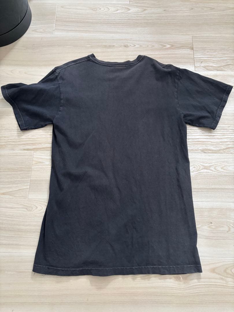 Stussy ステューシー Stones Pigment Dyed Tee