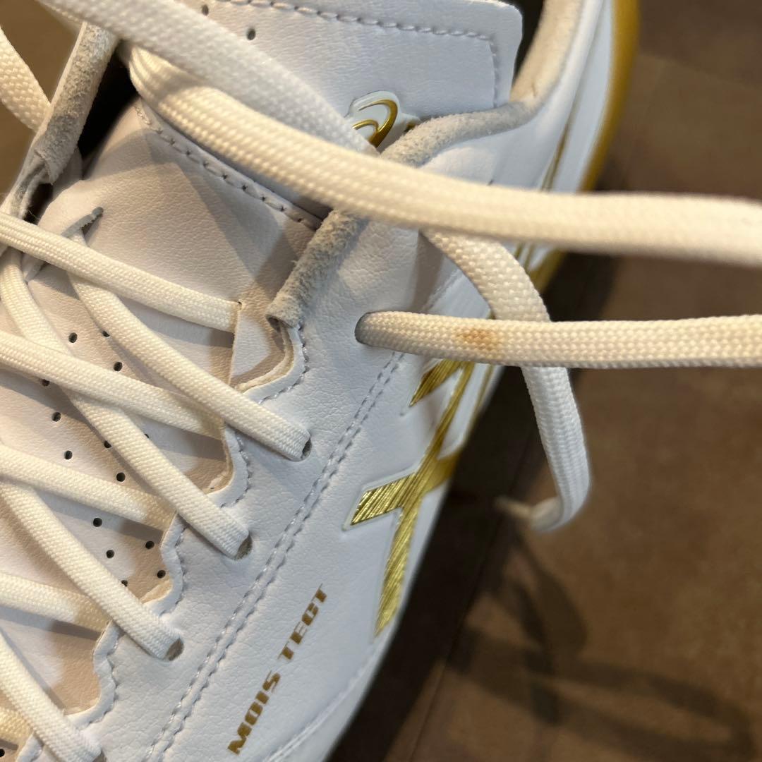 シューズ DS LIGHT X-FLY4