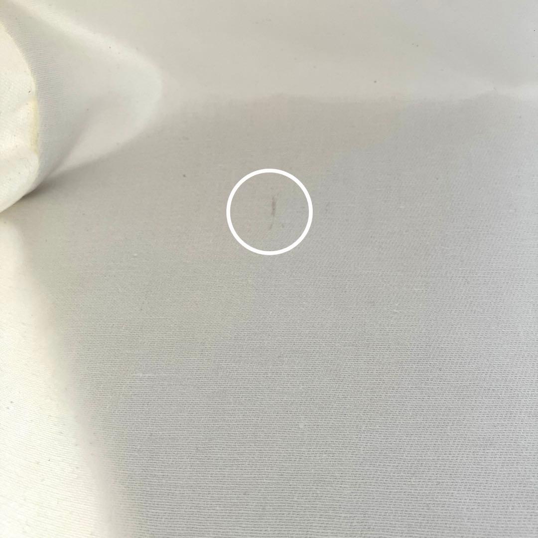 Acne studios アクネ オイルクロス シャイニートートバッグ ベージュ