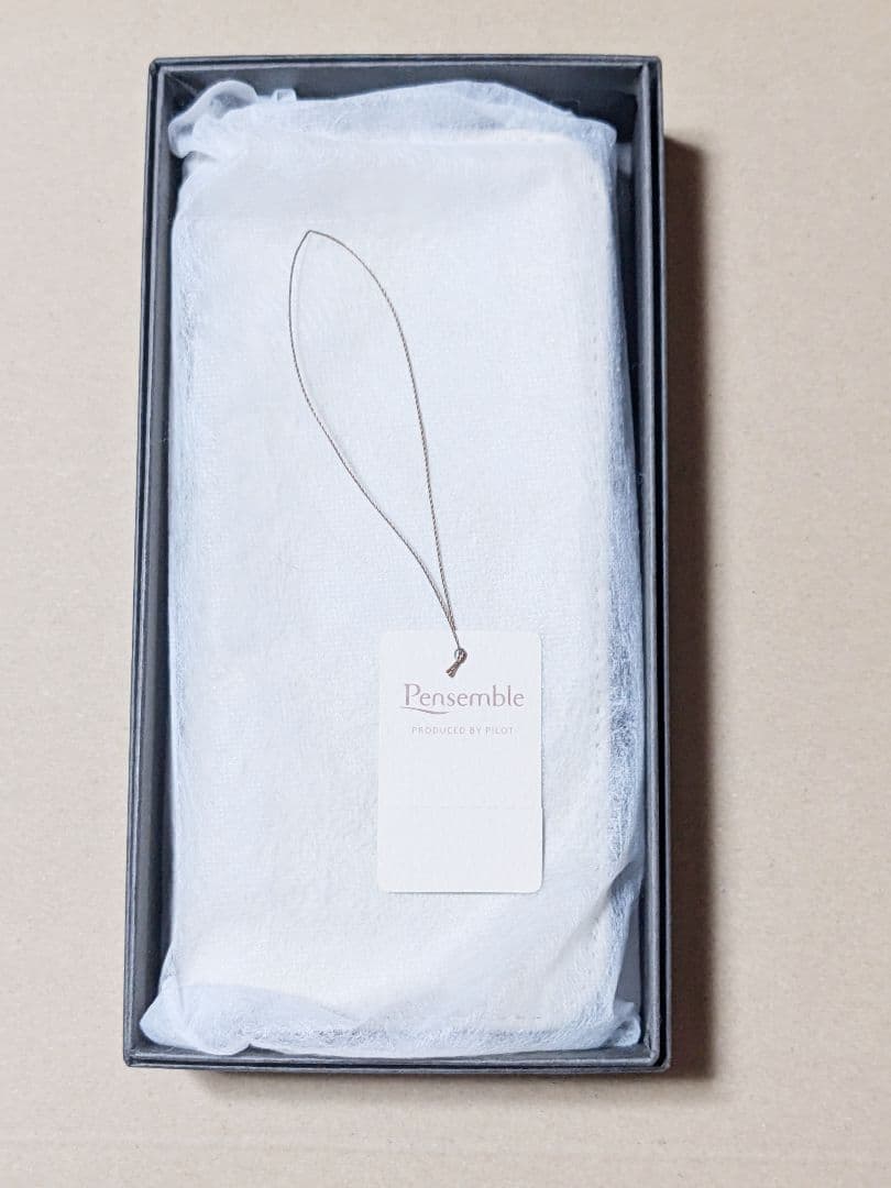 2019年限定 パイロット ペンサンブル アイボリー　ファスナーペンケース