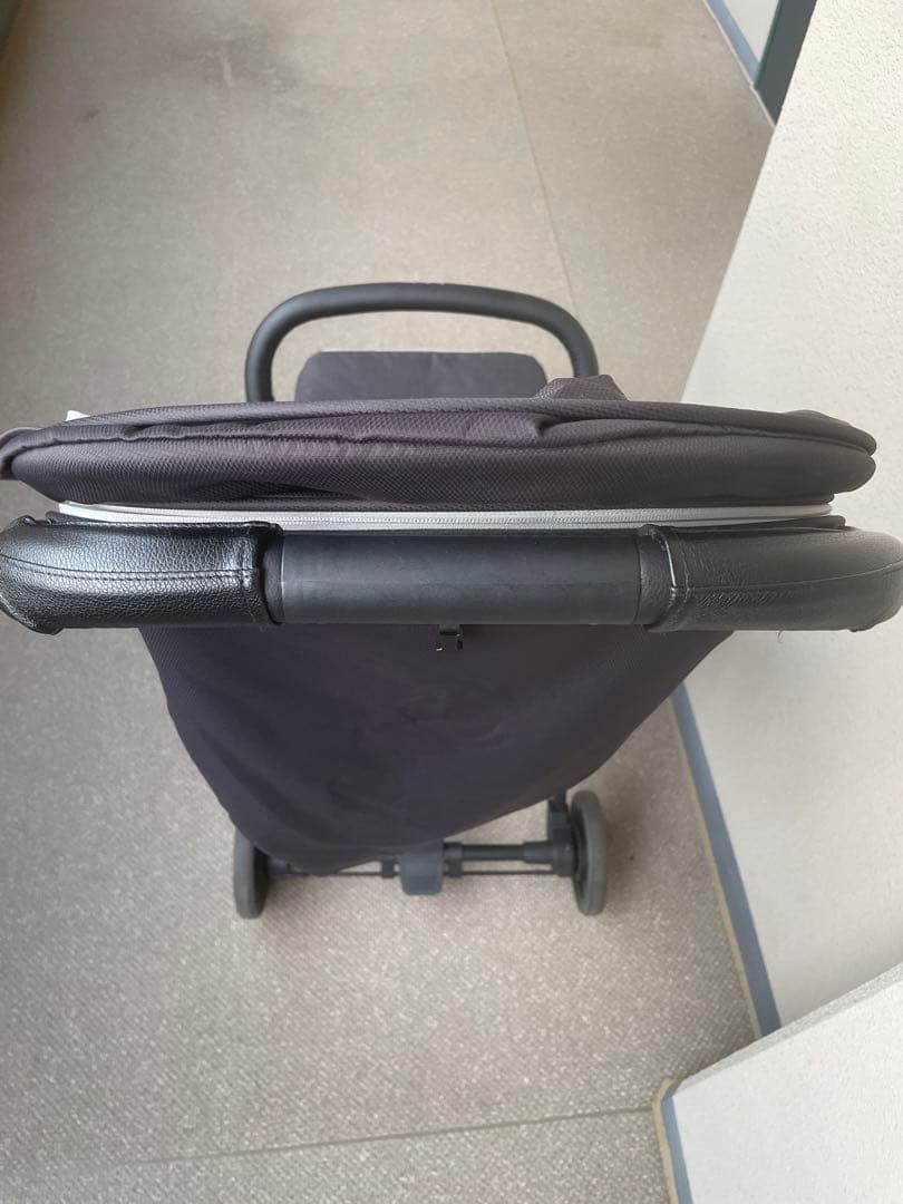 【早いもの勝】イングリッシーナ　クイッド2　ピューマブラック