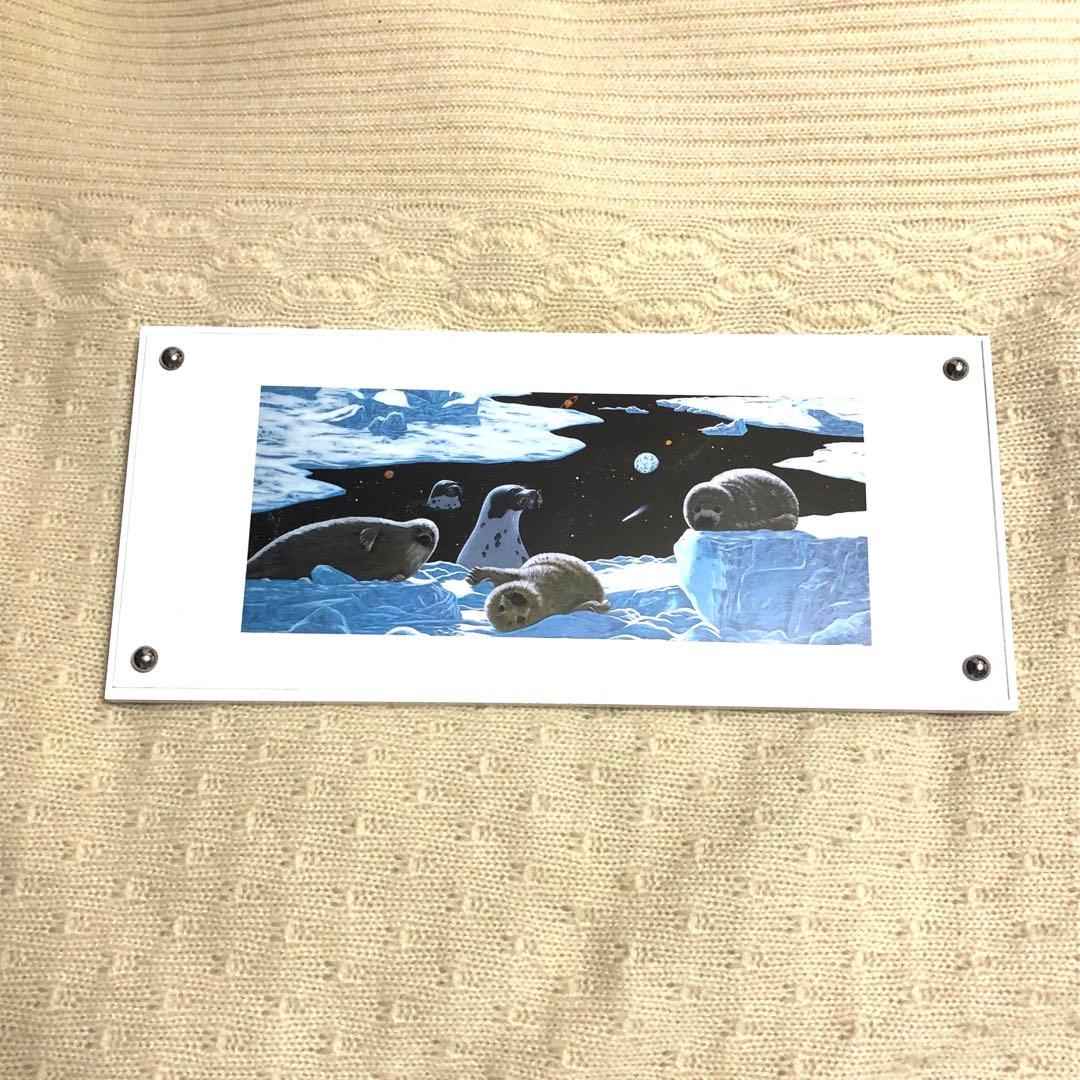 シムシメール アートフレーム アザラシ