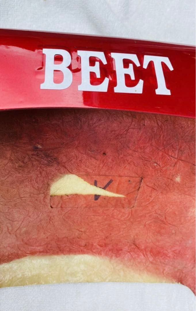 CBX BEETテール　カウル