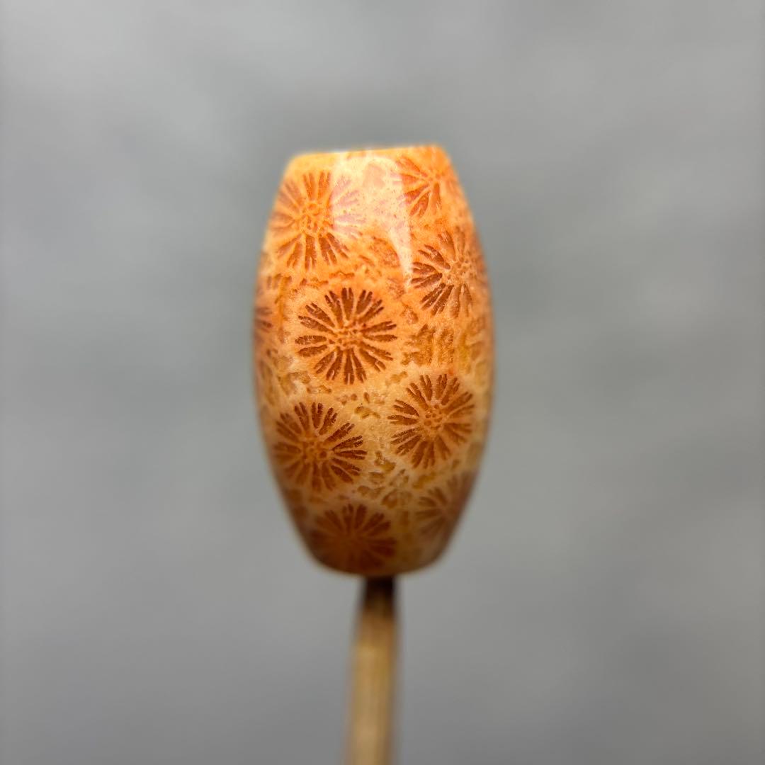 あずきちゃんフォッシルコーラル　天珠　1-333