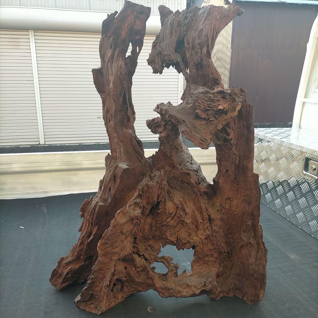 圧倒的な存在感(￣▽￣)玄関や居間にいかがですか？？