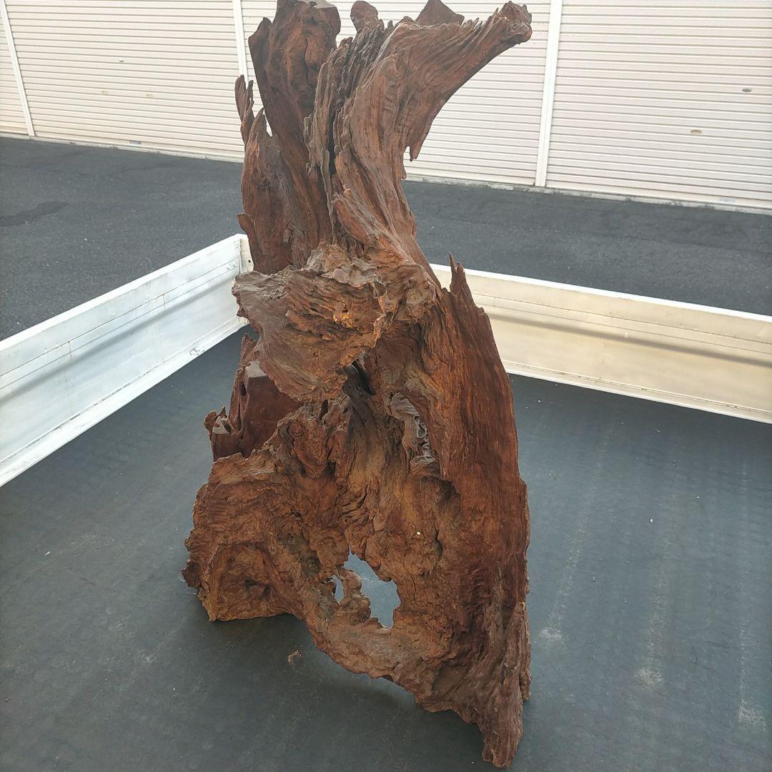 圧倒的な存在感(￣▽￣)玄関や居間にいかがですか？？