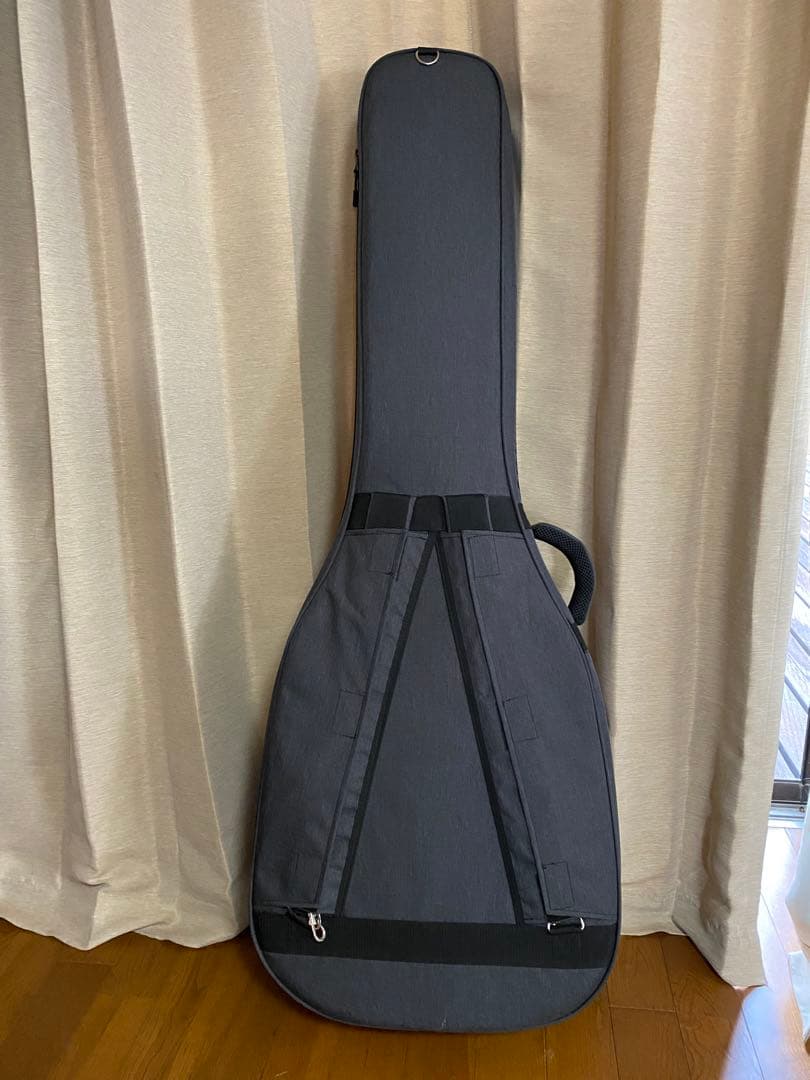 Ibanez アコースティックベース フレットレス　ケース付き