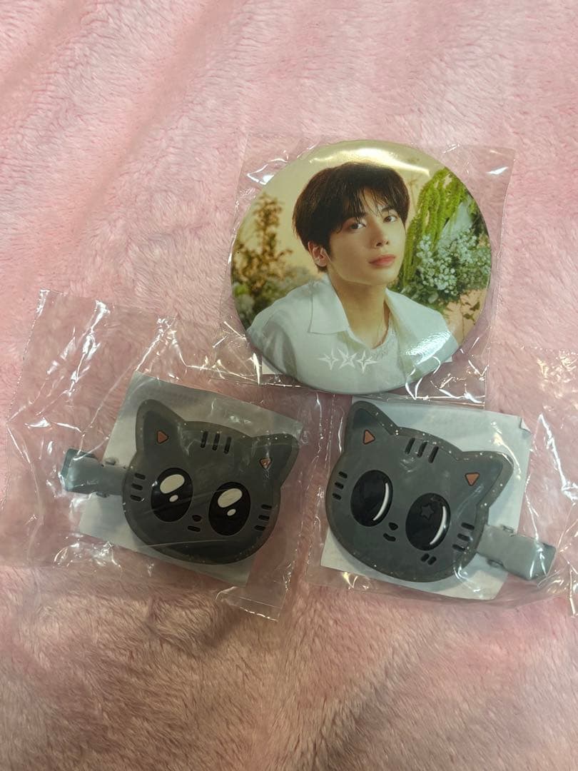 ダゴニャンヘアクリップピンバッジセット