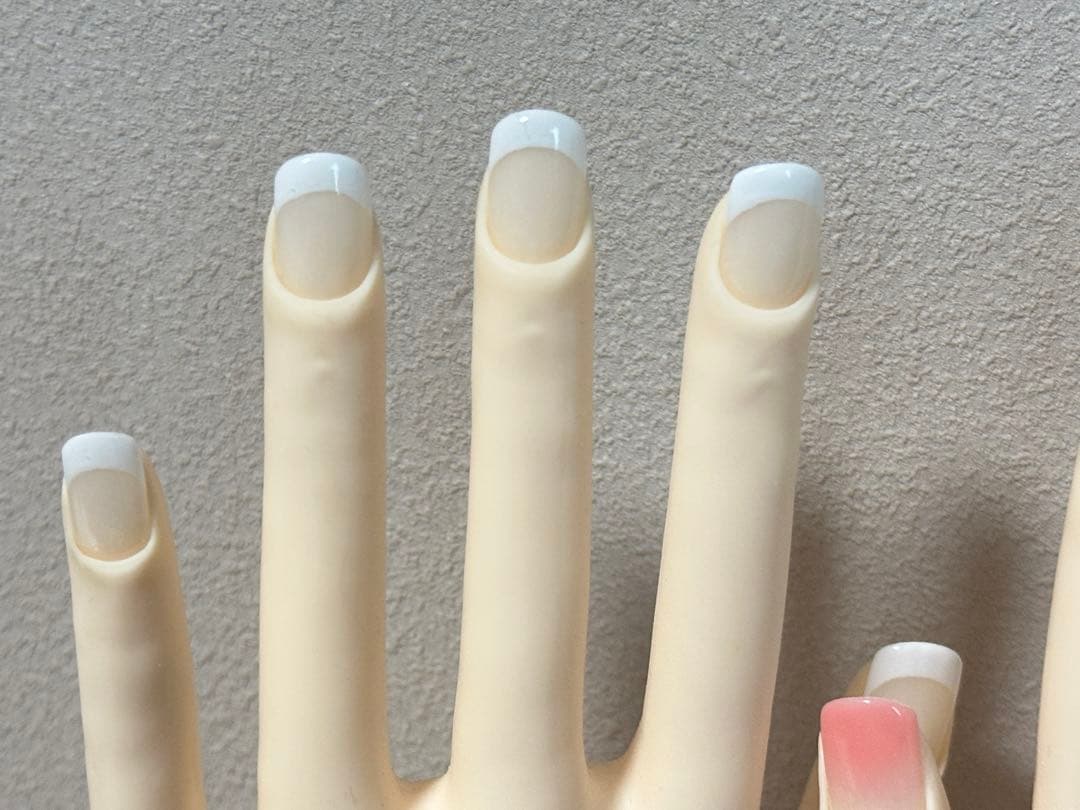 JNEC認定モデルハンド STモデルハンド