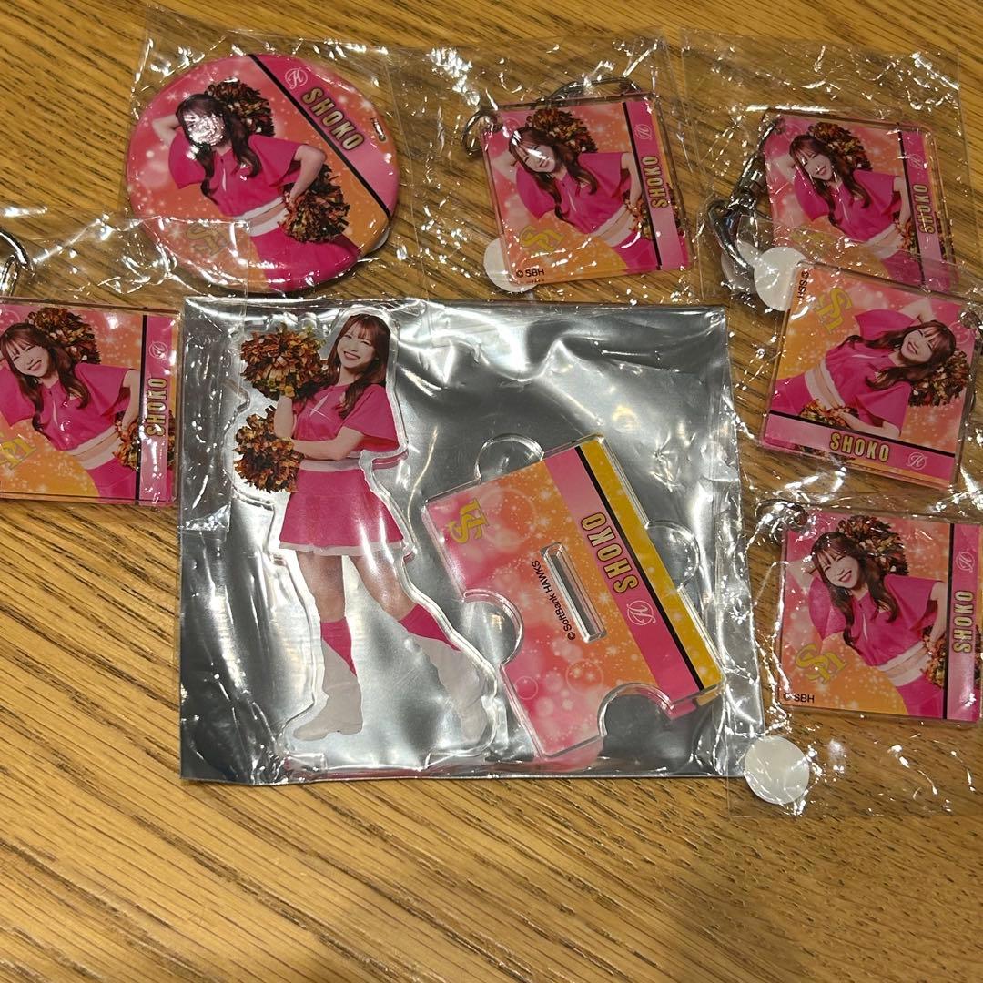 若鷹ガチャ ハニーズ SHOKO アクリルスタンド 缶バッジ アクキー セット