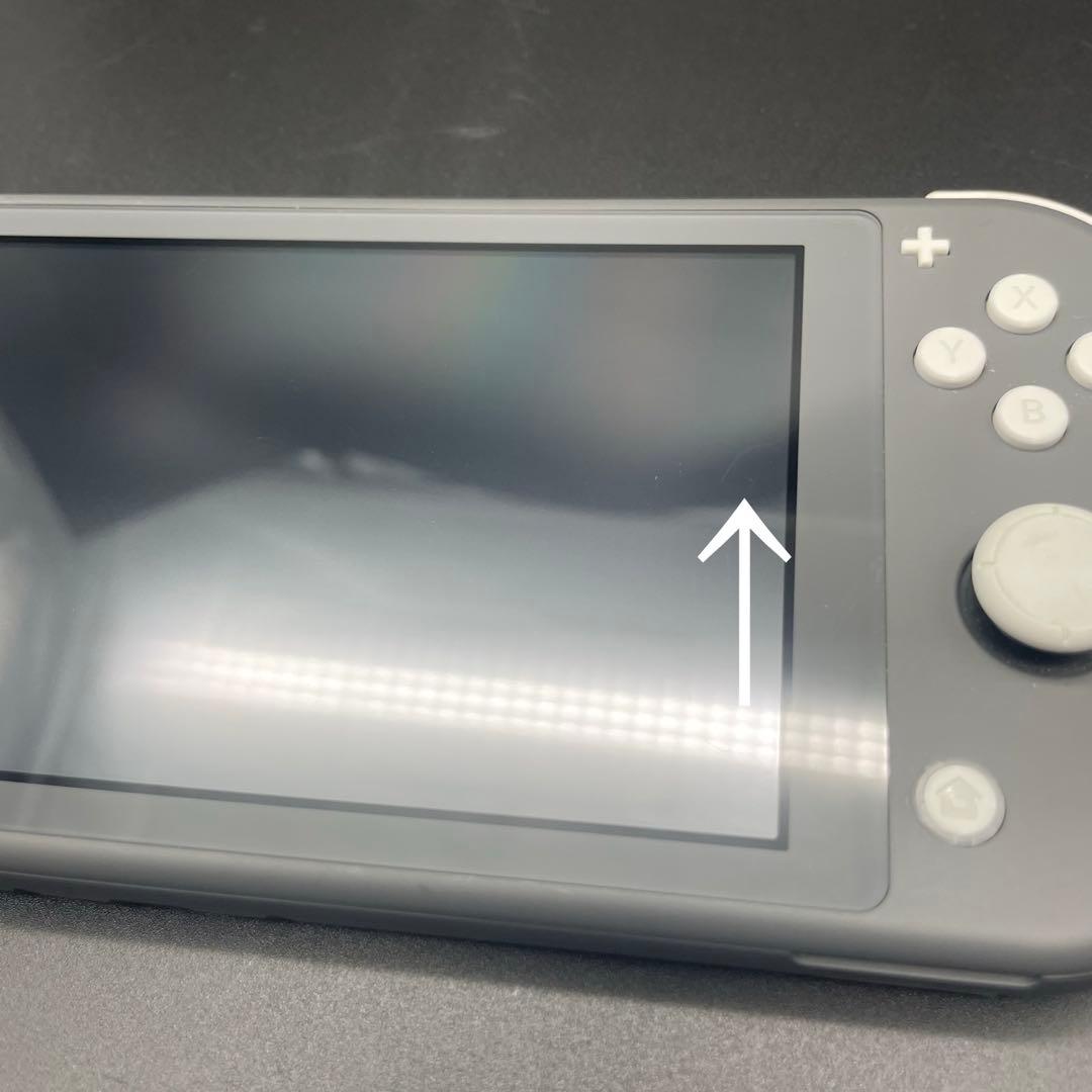 ◯Nintendo Switch Lite グレー 本体 アダプター ケース 付