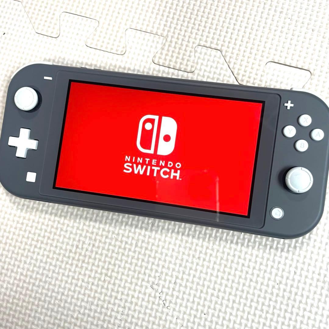 ◯Nintendo Switch Lite グレー 本体 アダプター ケース 付