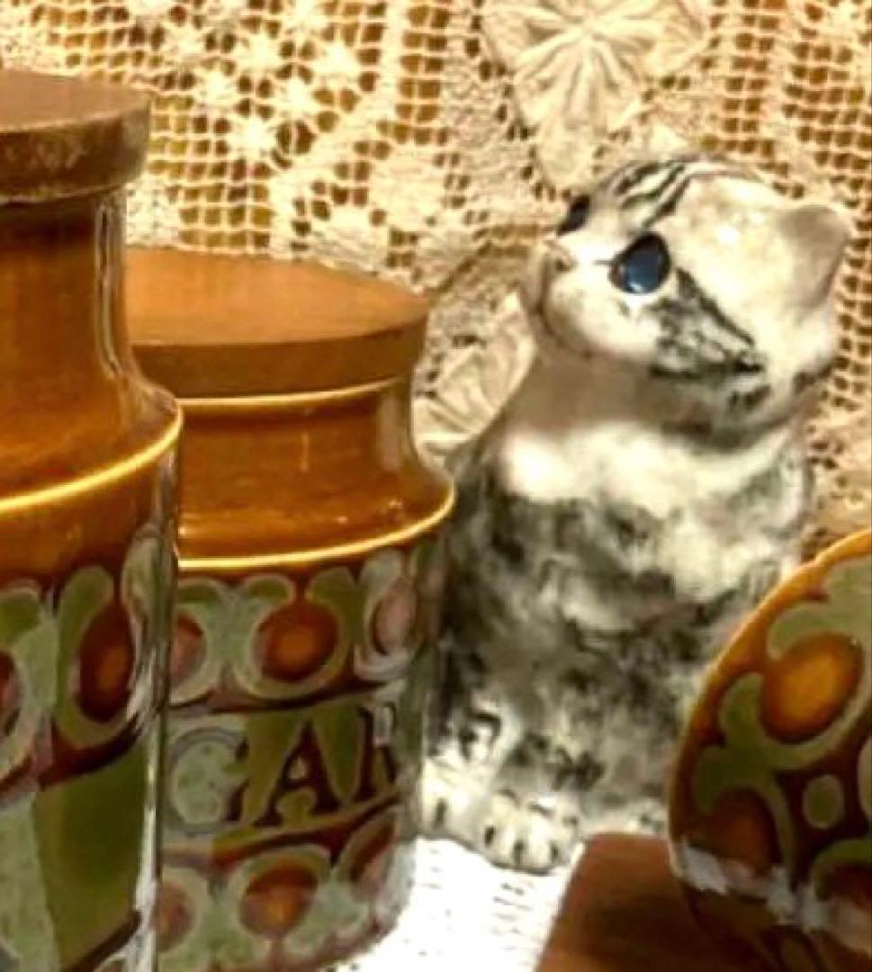 可愛い猫♡ケンジントン　ウィンスタンレイキャット♡