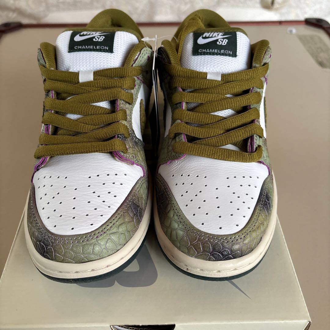 スケートボード Nike SB Dunk Low Pro QS 7.5